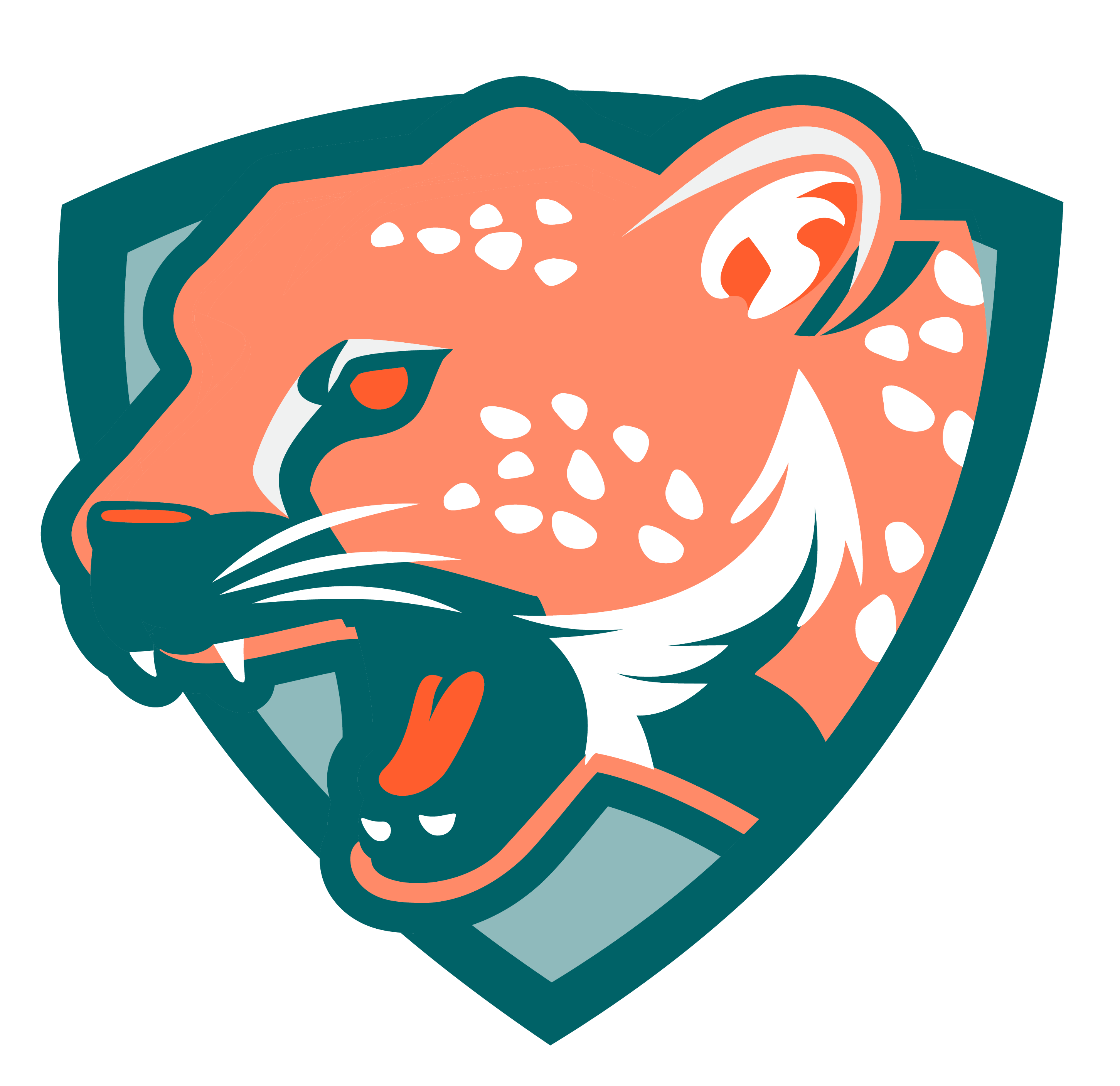 RSFA-Mascots-Leopards.png